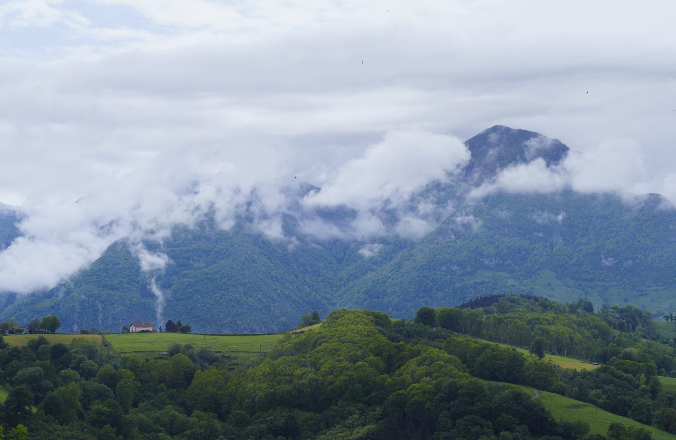 Camping Atlantica : Ado Basque Montagne Pluie